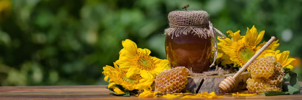 Choosing the Perfect Honey for Your Lifestyle