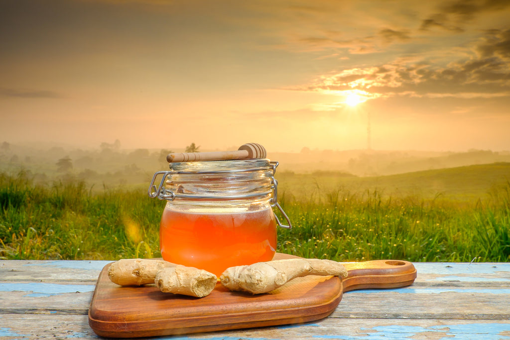 How Himalayan Honey Boosts Immunity in Monsoon Season