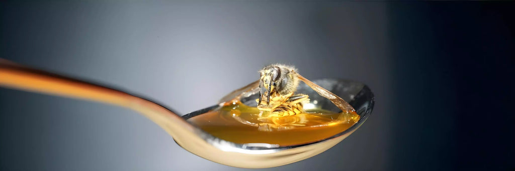 How to Check the Purity of Honey - A Simple Guide