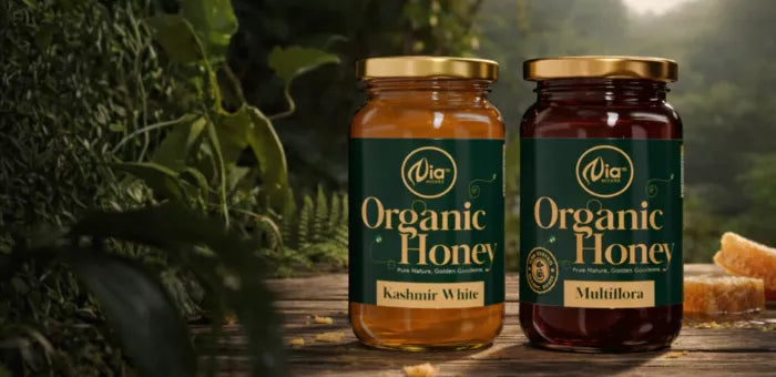 Explore honey 69a01ce5646fb