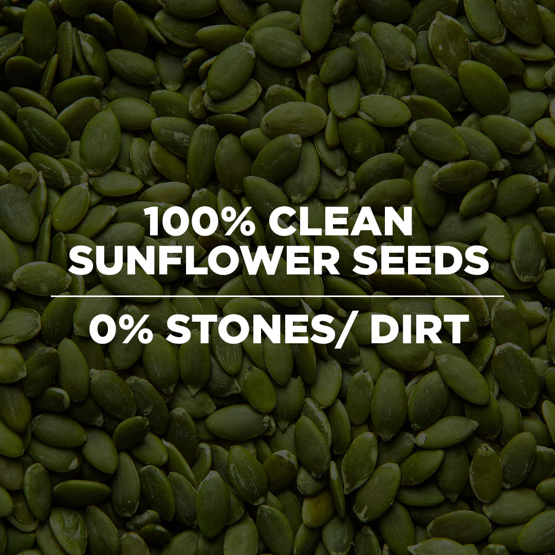 Raw Pumpkin Seeds
