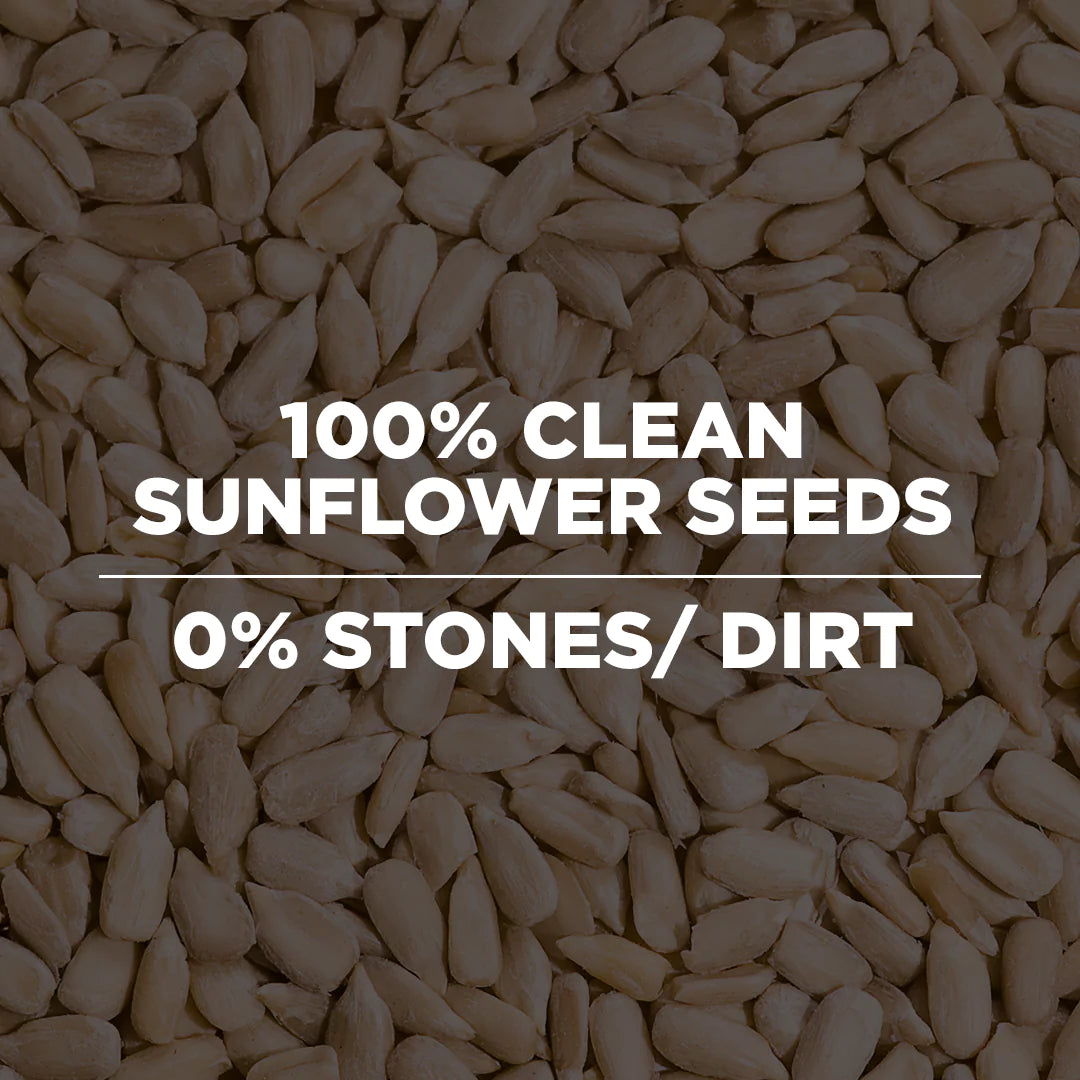 Raw Sunflower Seeds
